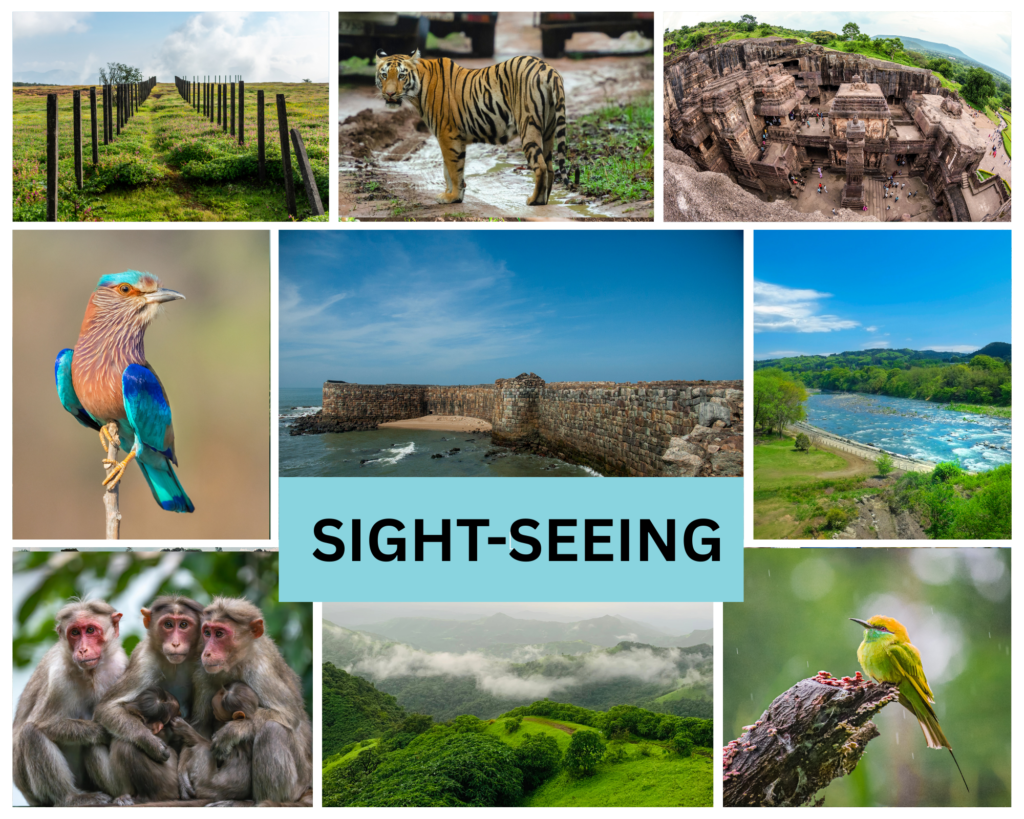 sight seeing services-janhavi tours and travels